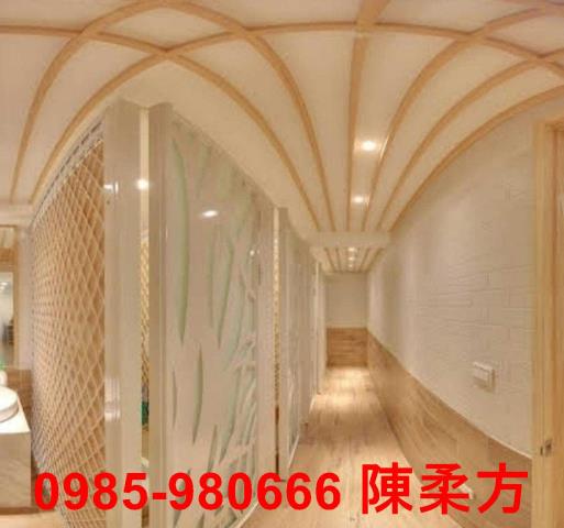 嘉義西區華廈-3