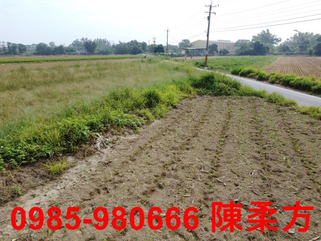 嘉義鹿草農地-0