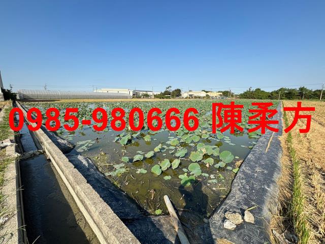 嘉義民雄農地-3
