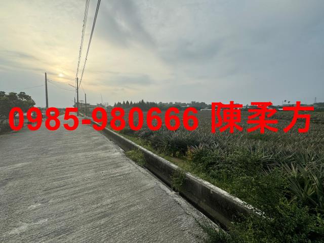 嘉義民雄農地-2