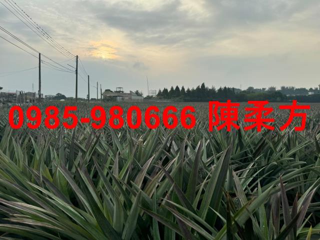 嘉義民雄農地-4