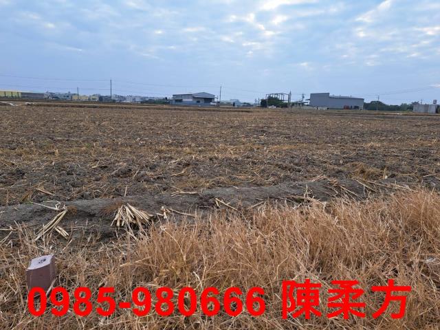 嘉義農地-5