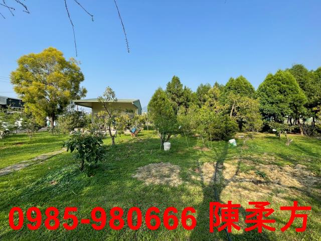 嘉義農地-10