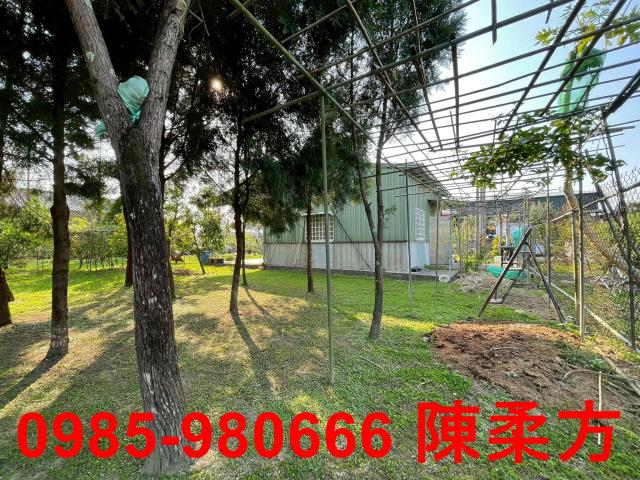 嘉義農地-8
