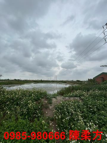 嘉義義竹農地-4