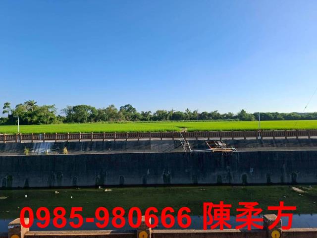 西區農地-9