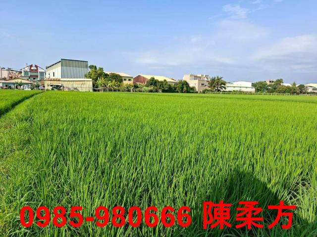 西區農地-6