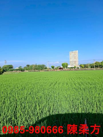西區農地-7