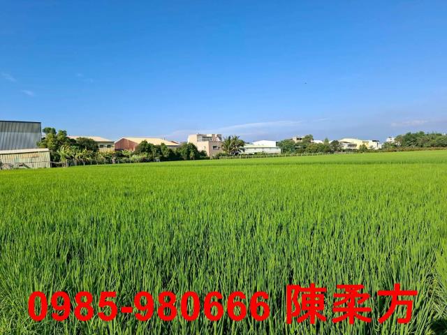 西區農地-8