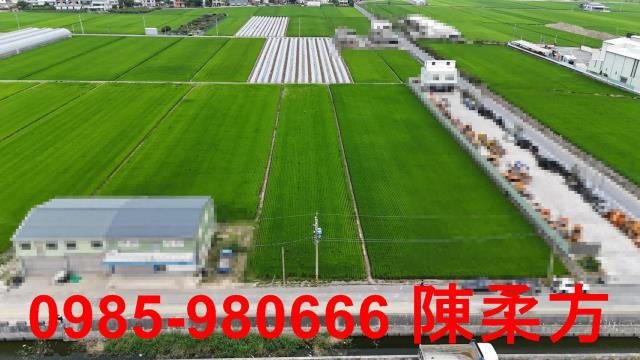 民雄農地-11