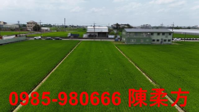 民雄農地-7