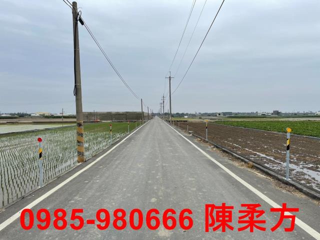 水上農地-2