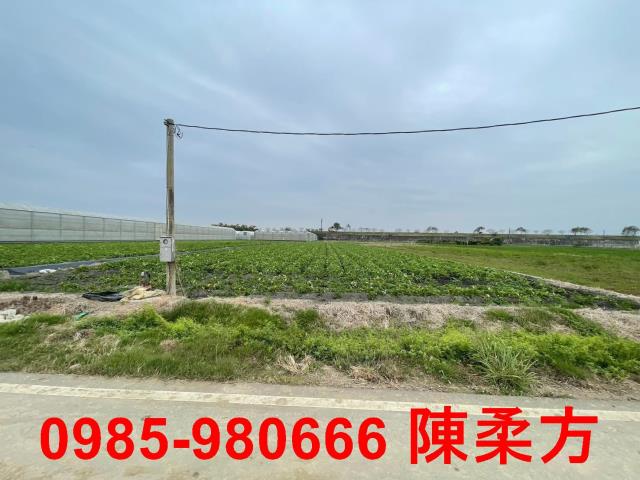 水上農地-6