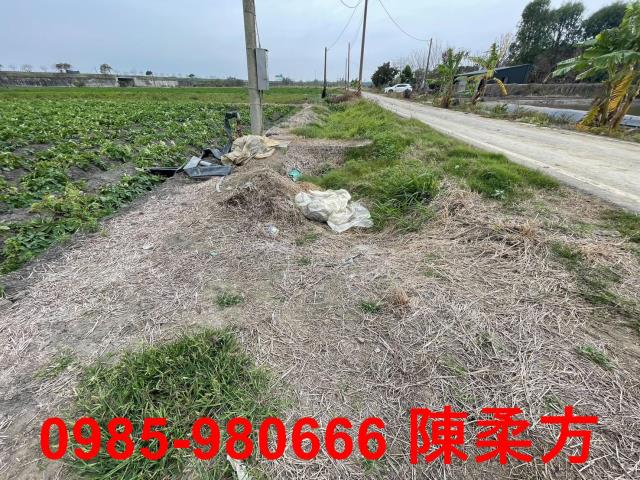 水上農地-7