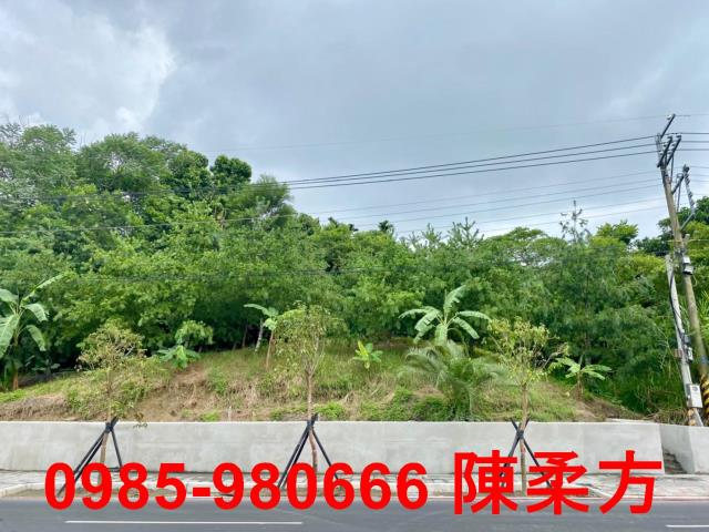 東區農地-1