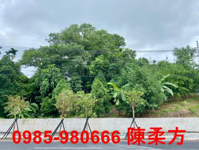 東區農地-6
