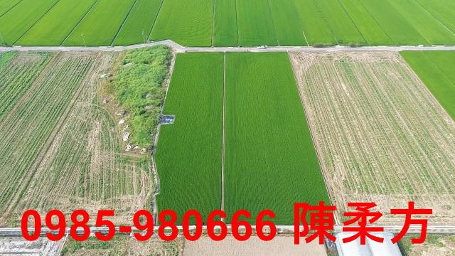 鹿草農地-9