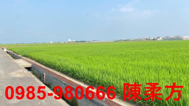 鹿草農地-13