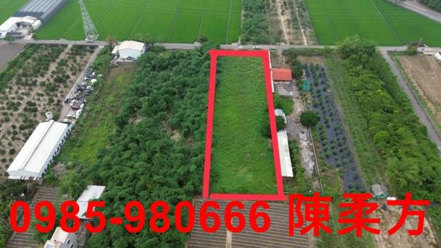 大林農地-0