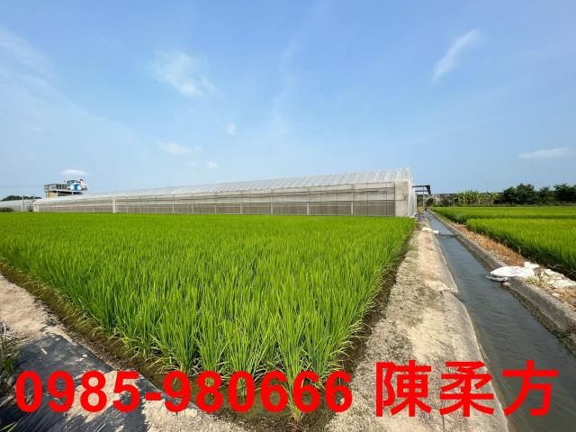 水上農地-3