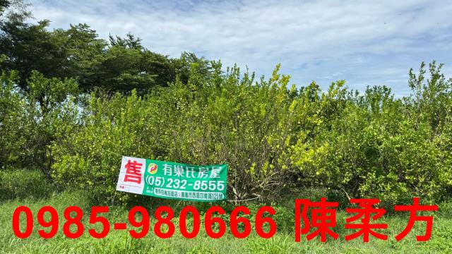 新港農地-9