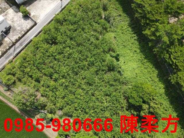 新港農地-2