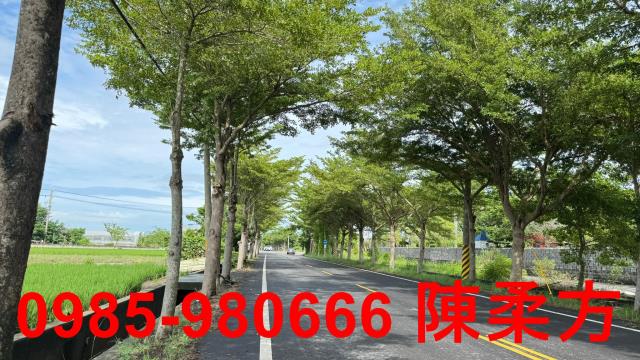 新港農地-3