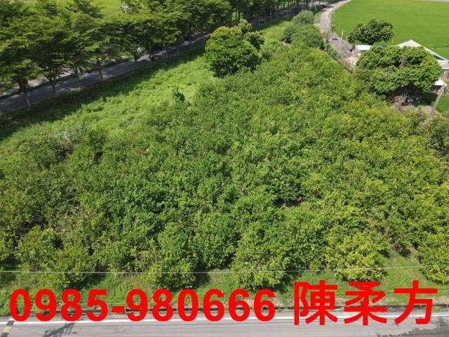 新港農地-7