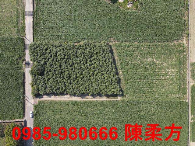 嘉義義竹農地-9