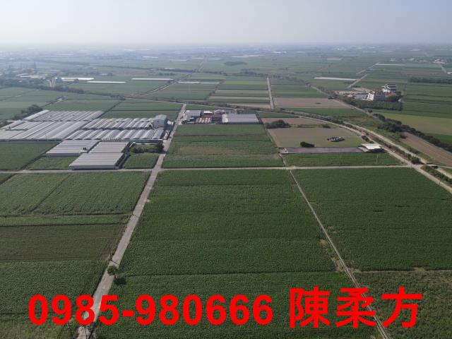 嘉義義竹農地-10