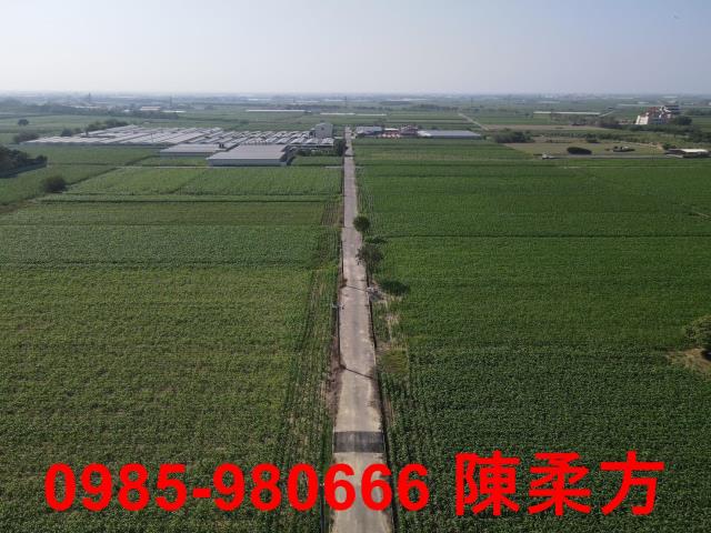 嘉義義竹農地-6