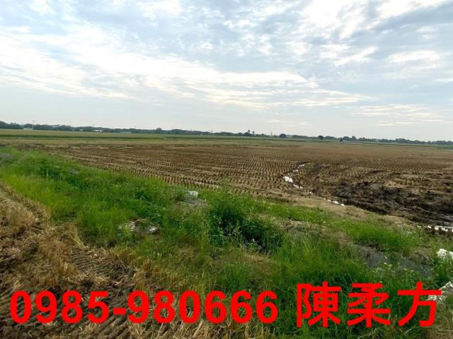 嘉義西區農地-1