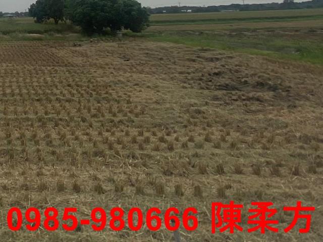 嘉義西區農地-5