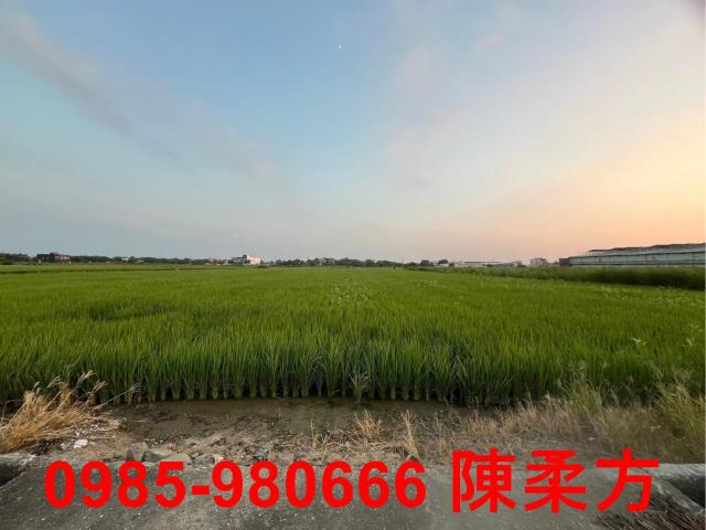 鹿草農地-6