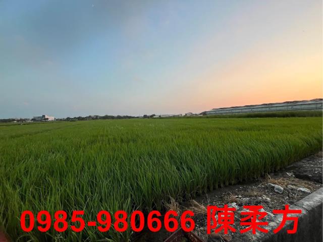 鹿草農地-8