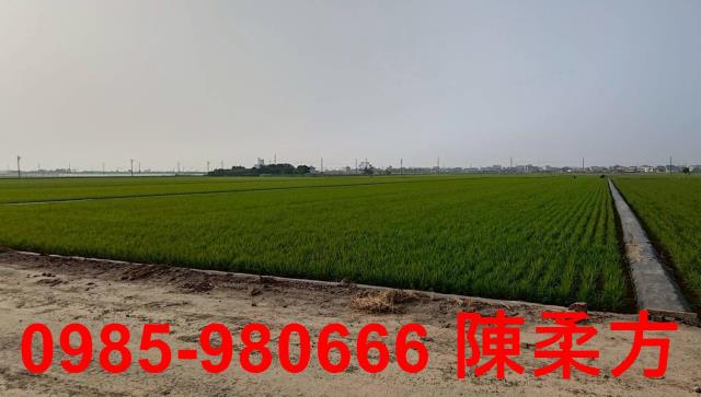 鹿草農地-14
