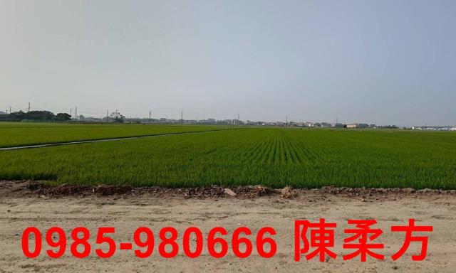 鹿草農地-1