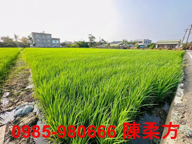 太保建地-7